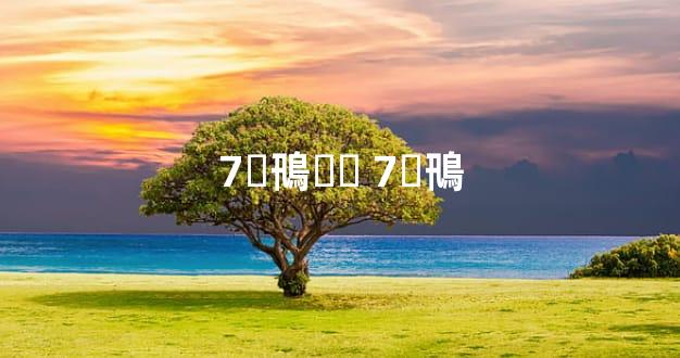 7ϵ鳵޼۸ 7ϵ鳵